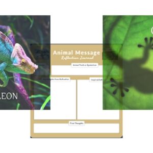 insects and reptiles messages wall art sample image